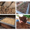 284 Ranking Garden Mulches. Fall Worm Bin Care.