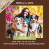 REPLAY - Ep. 51 - The Best Gear for Pet Photography with Charlotte Reeves