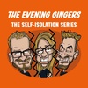 The Self-Isolation Series: Sorry Mr Binman