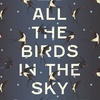 Book-Space! #14. All the Birds in the Sky by Charlie Jane Anders