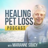 Spiritual support for a dying pet and a message from Minnie the cat