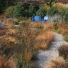 245 Gardening Trends for 2023 Pt. 1