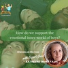91. How do we support the emotional inner world of boys? With Special Guest Kathryne Imabayashi