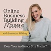 Ep 214: Does Your Audience Size Matter?
