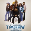 Behind the Scenes of the Lynyrd Skynyrd Documentary, If I Leave Here Tomorrow
