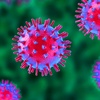 3Worlds Shamanism - Corona Virus Special