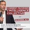 Comment favoriser l'intelligence collective - Antoine Brachet