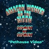 Segment 2: Pethouse Video
