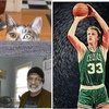 E33 Sunil's Tribute to Larry Bird (and other stuff)