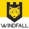 Windfall - Adam and Bob Raymonda