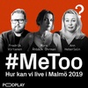 Hur kan vi Live i Malmö 2019 - Vad hände efter #metoo?