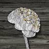 Phil Quinlan on life after suffering a brain injury