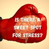 Better, Faster, Stronger: How Stress Can Fuel Personal Growth and Development