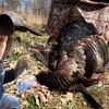S:13 Massive 3″ Broadhead Opens Up Gobbler