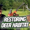 S:13 Restoring Native Habitat For Better Deer Hunting