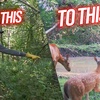 S:13 Woodland Ponds – If You Build It, They Will Come!