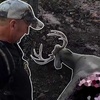 S:13 WOLVES ATE MY BUCK! Bowhunting the Big Woods