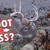 S:13 SHOOT or PASS??? Deer Hunting’s Ultimate Question