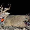 S:13 Not Eating Tag Soup This Year! Late Season BUCK DOWN