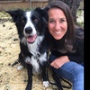 Episode 217 - Make your dog happy with Karen London and Nosey Barker