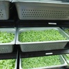 Chopped Salad