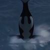 Free Willy