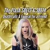 The Flash S813 &amp; S8E14 Review