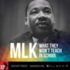 MLK: What They Won't Teach In School [2023]