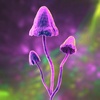 Pilze, LSD und ihre bunten Versprechen: Wohin führt uns der Hype um psychedelische Substanzen?