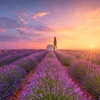 Lecker essen und trinken in der Provence