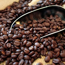 Don't Make These Mistakes When Storing Your Coffee Beans