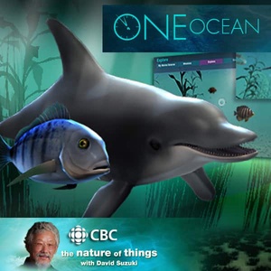 One Ocean from CBC The Nature of Things