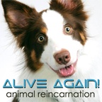 Alive Again - Pet Reincarnation on Pet Life Radio (PetLifeRadio.com)