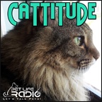 Cattitude -  The #1 Cat Podcast About Cats As Pets-  Pet Life Radio Original (PetLifeRadio.com)