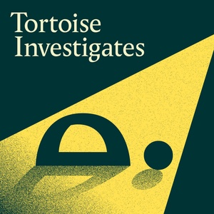 Tortoise Investigates