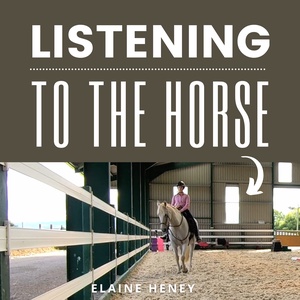 Listening to the Horse by Elaine Heney | Equine training, education, psychology, horsemanship, groundwork, riding & dressage for the equestrian. With horse care, health, ownership, knowledge,