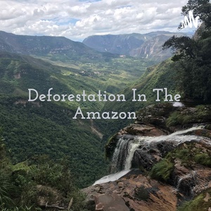 Deforestation In The Amazon - A Danger To Indigenous People 