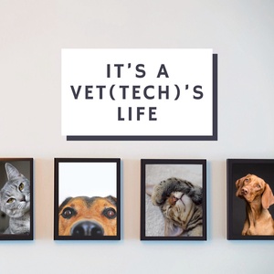 It’s a Vet(Tech)’s Life