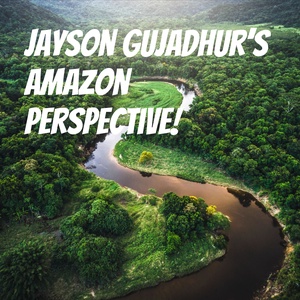 Jayson Gujadhur's Amazon Perspective!