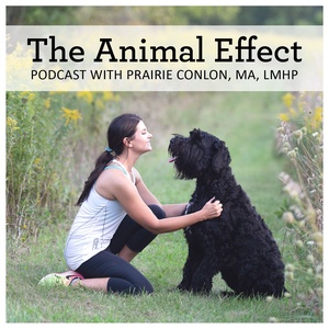 The Animal Effect