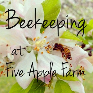 Beekeeping at Five Apple Farm Podcast