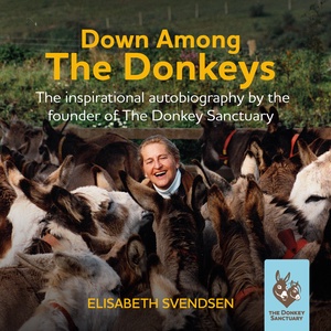 Down Among The Donkeys