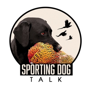 Sporting Dog Talk