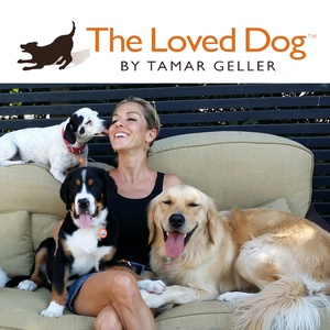The Loved Dog - The Official Tamar Geller Podcast