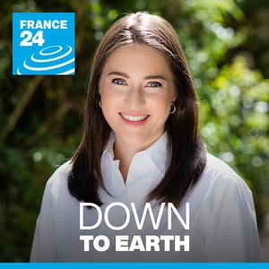 Down to Earth