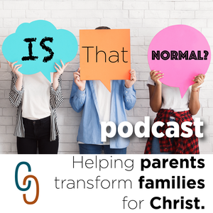 Is That Normal? Podcast Episode 95 – Ice Cream, Abortion, and Other Polarizing Things