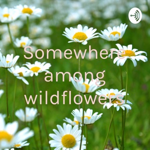 Somewhere among wildflowers (Trailer)