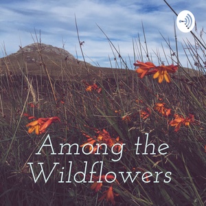Among the Wildflowers  (Trailer)