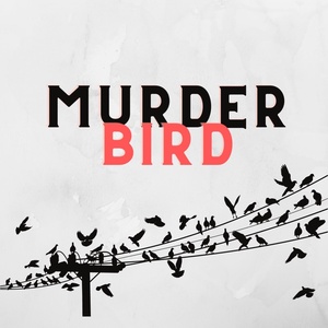 1 - The Honour Killing of Laura Wilson