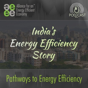 India's Energy Efficiency Story